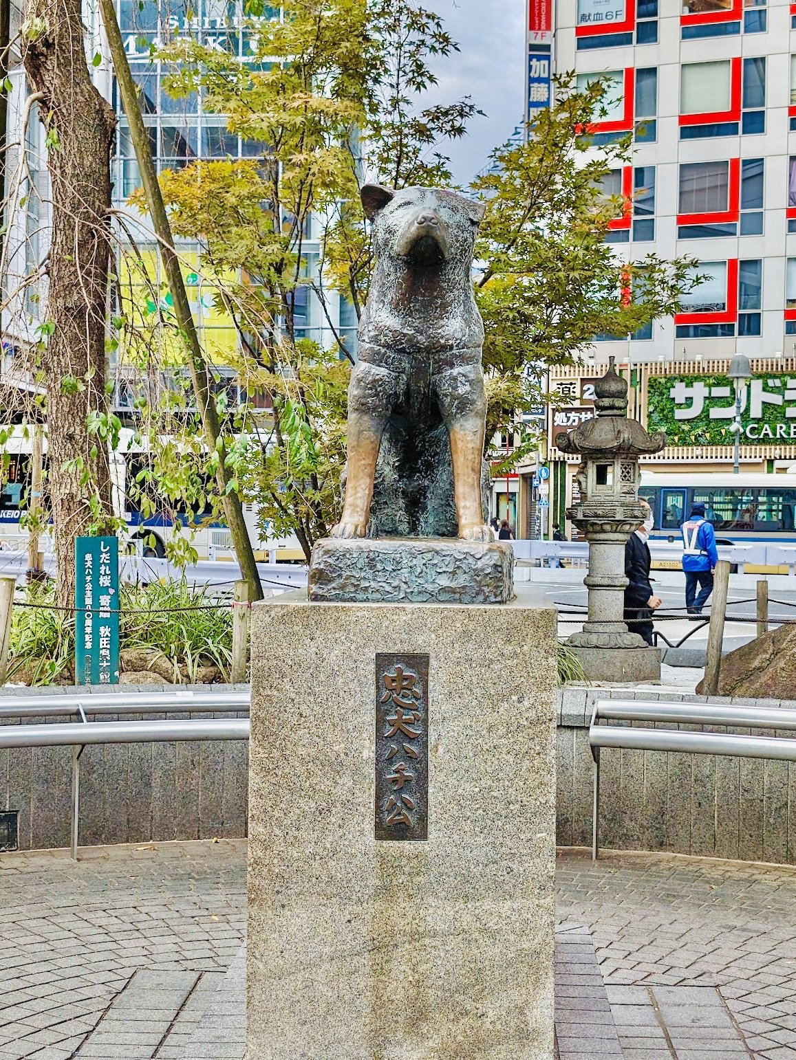 🐕 하치코 동상(충견 하치코상) 이미지 6